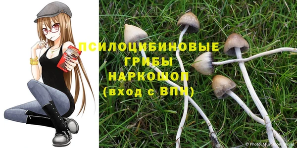 молекула духа Белокуриха