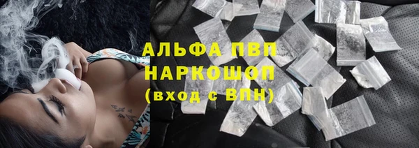 молекула духа Белоозёрский